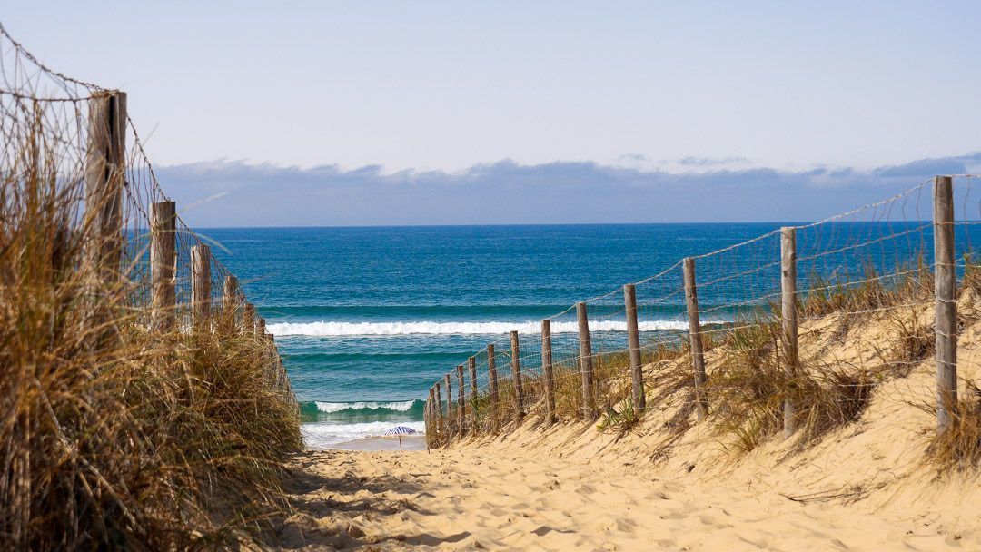 Hôtel des Dunes - Nettoyage de plage