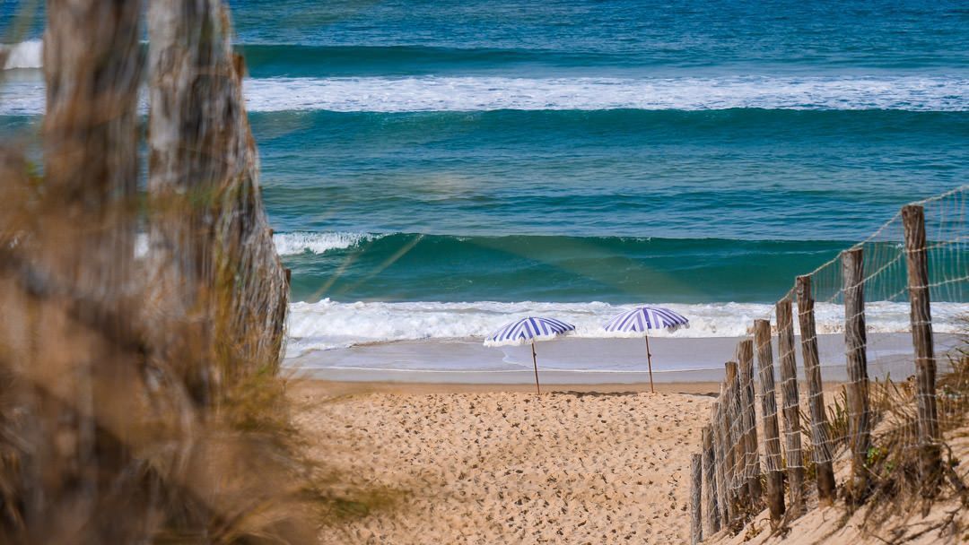 Hôtel des Dunes - Nettoyage de plage