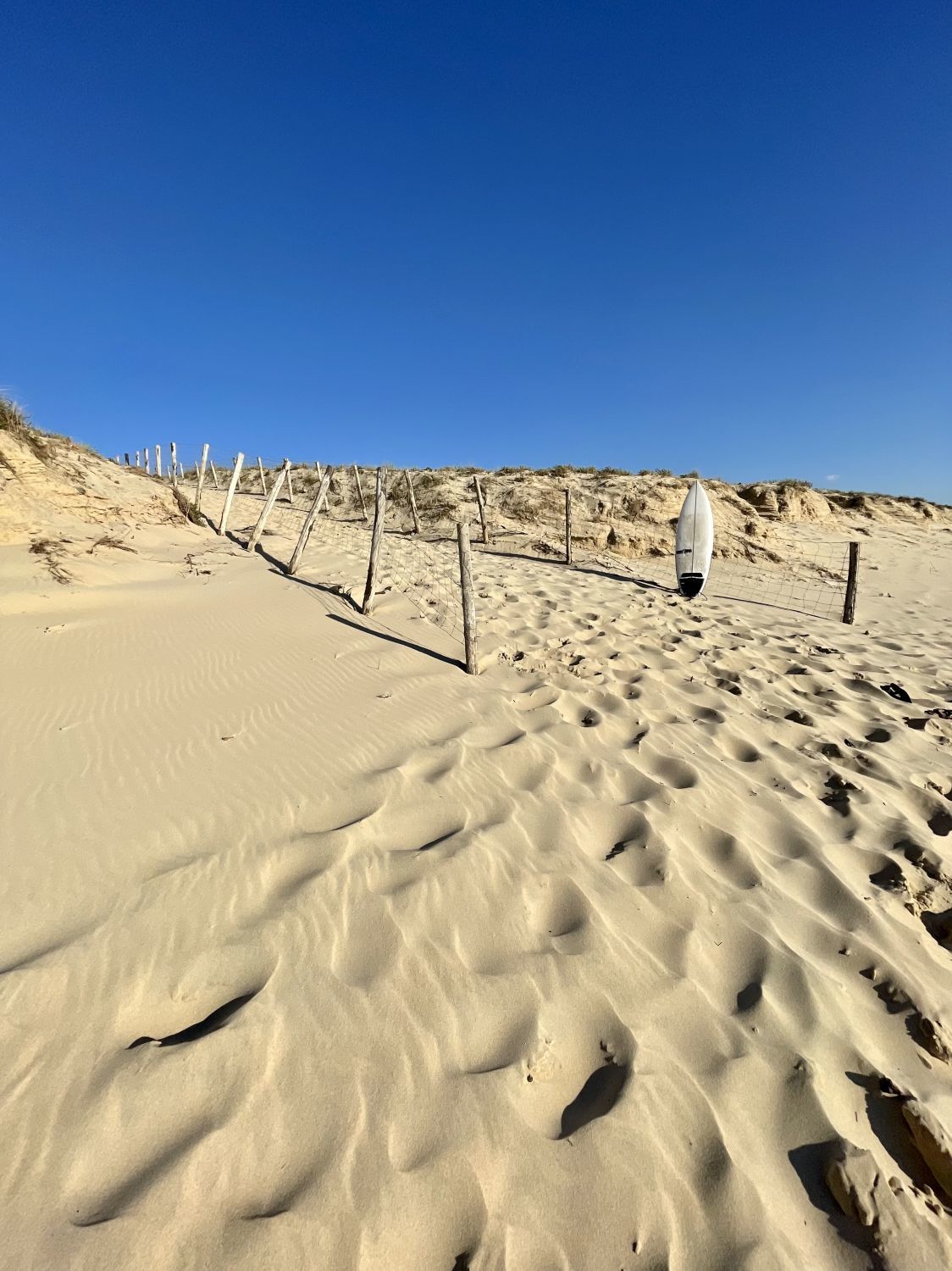 Hôtel des Dunes - Surfant